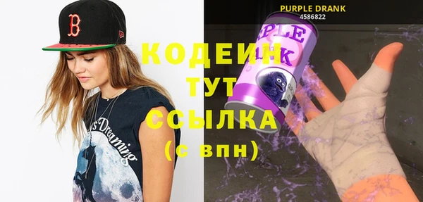 хмурый Вяземский