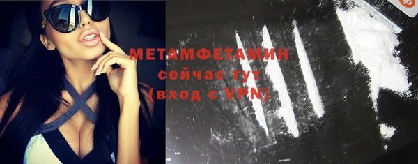 сатива Волоколамск