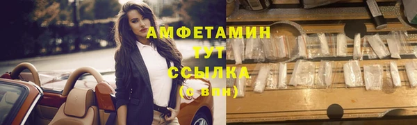 стаф Вязьма