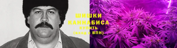 хмурый Вяземский