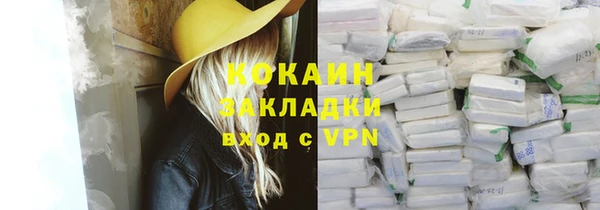 стаф Вязьма