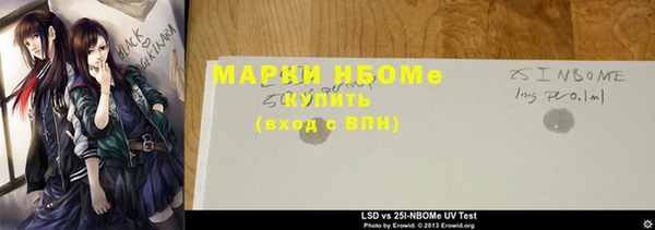 хмурый Вяземский