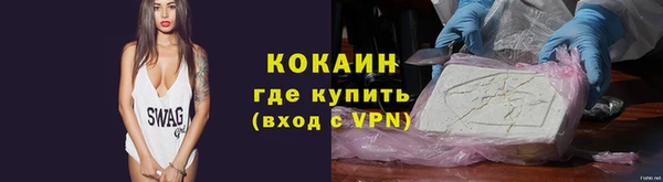 стаф Вязьма