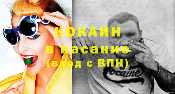 стаф Вязьма
