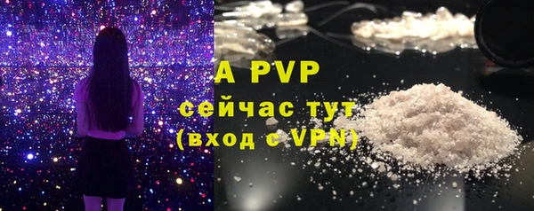 хмурый Вяземский