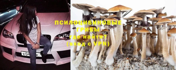 стаф Вязьма