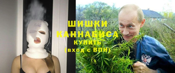 стаф Вязьма