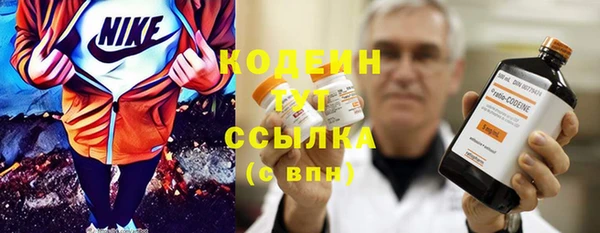 стаф Вязьма