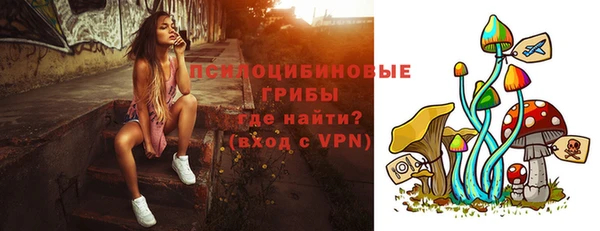хмурый Вяземский