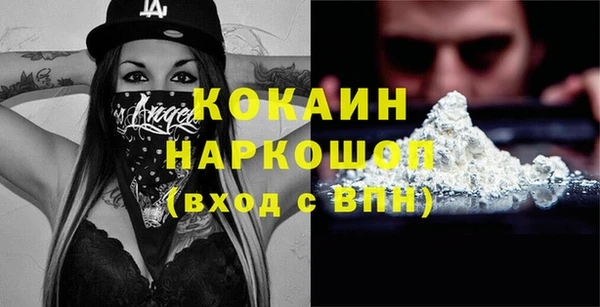 стаф Вязьма