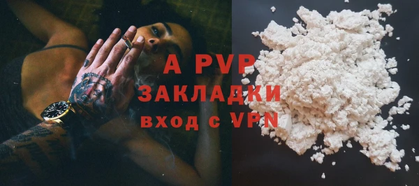 стаф Вязьма