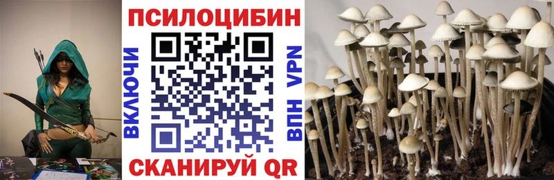 Псилоцибиновые грибы Psilocybine cubensis  Избербаш 